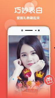 韩国密探手机在线观看,手机在线观看,揭秘神秘间谍世界