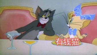 猫和老鼠s2爆料视频,经典角色新篇章,笑料百出引期待