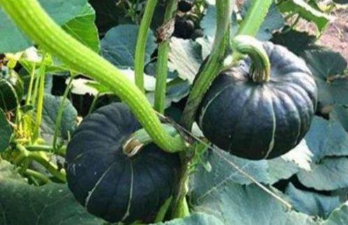 最新吃瓜 网红事件,揭秘近期热门事件背后的真相  第3张 最新吃瓜 网红事件,揭秘近期热门事件背后的真相  第3张