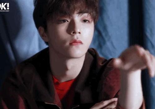 爱豆吃瓜娱乐酱陈立农,从爱豆到吃瓜达人,揭秘他的娱乐人生