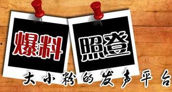 安岳新闻爆料平台有哪些,聚焦本地资讯,共筑信息桥梁