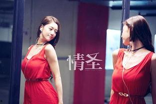 情圣2016在线观看,浪漫邂逅,笑中带泪的爱情喜剧