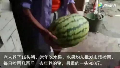吃瓜视频完整版大全免费观看  第2张 吃瓜视频完整版大全免费观看  第2张