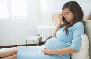 求孕在线观看,揭秘生育路上的温馨陪伴与科学指导  第2张 求孕在线观看,揭秘生育路上的温馨陪伴与科学指导  第2张