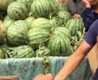 西昌吃瓜事件网红,网红引发的网络狂欢与反思  第2张 西昌吃瓜事件网红,网红引发的网络狂欢与反思  第2张